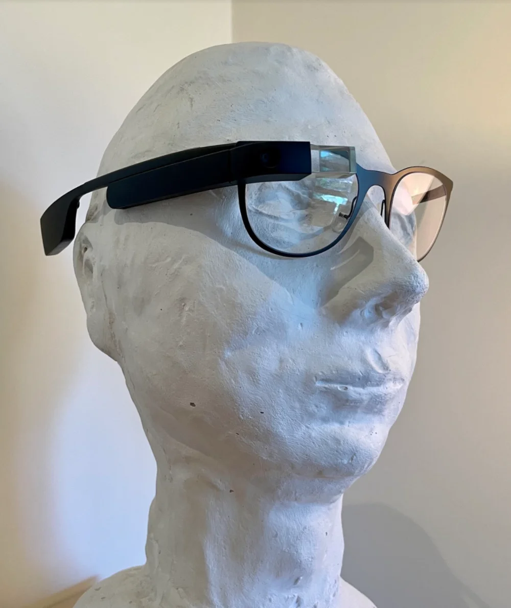 Leslie's Google Glass